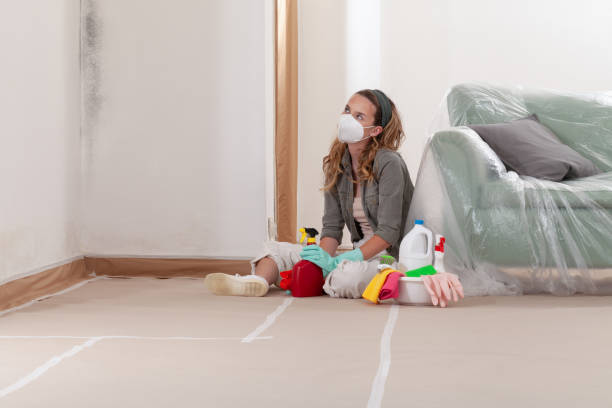Reliable Mold Removal contractor in Glencoe, MN by WQB Mold Removal